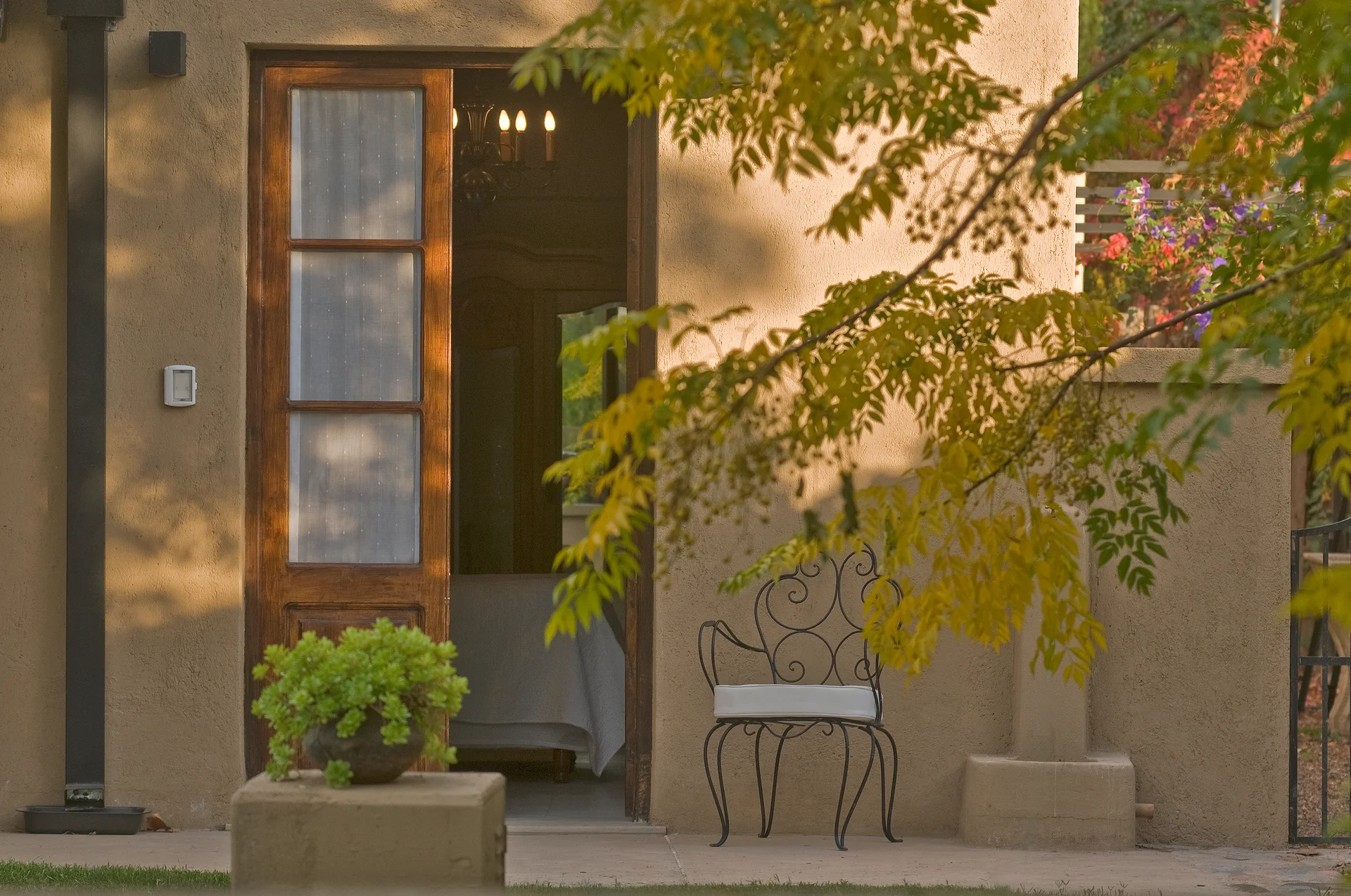 El patio de la habitación Arbequina en otoño