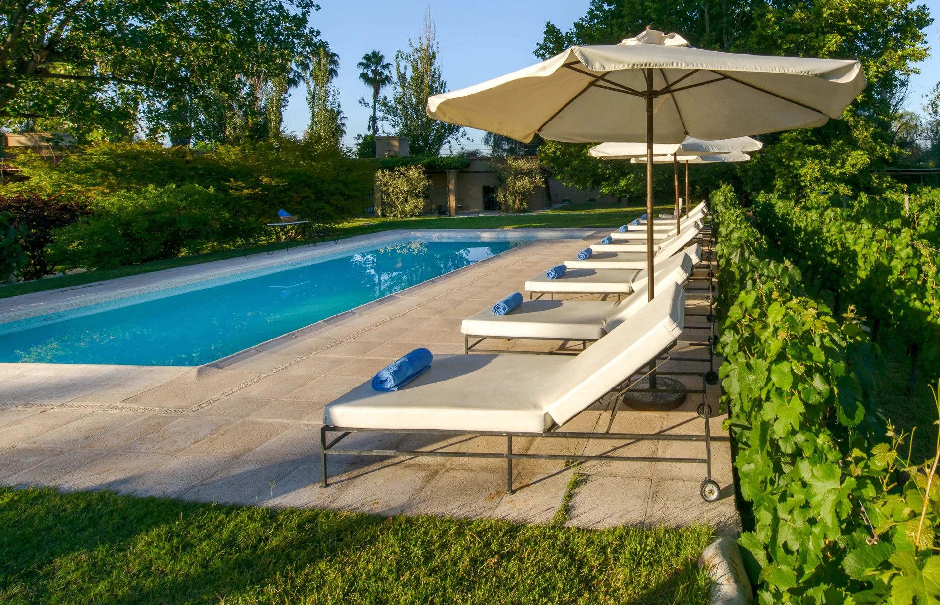 Reposeras y sombrillas a lo largo de la piscina