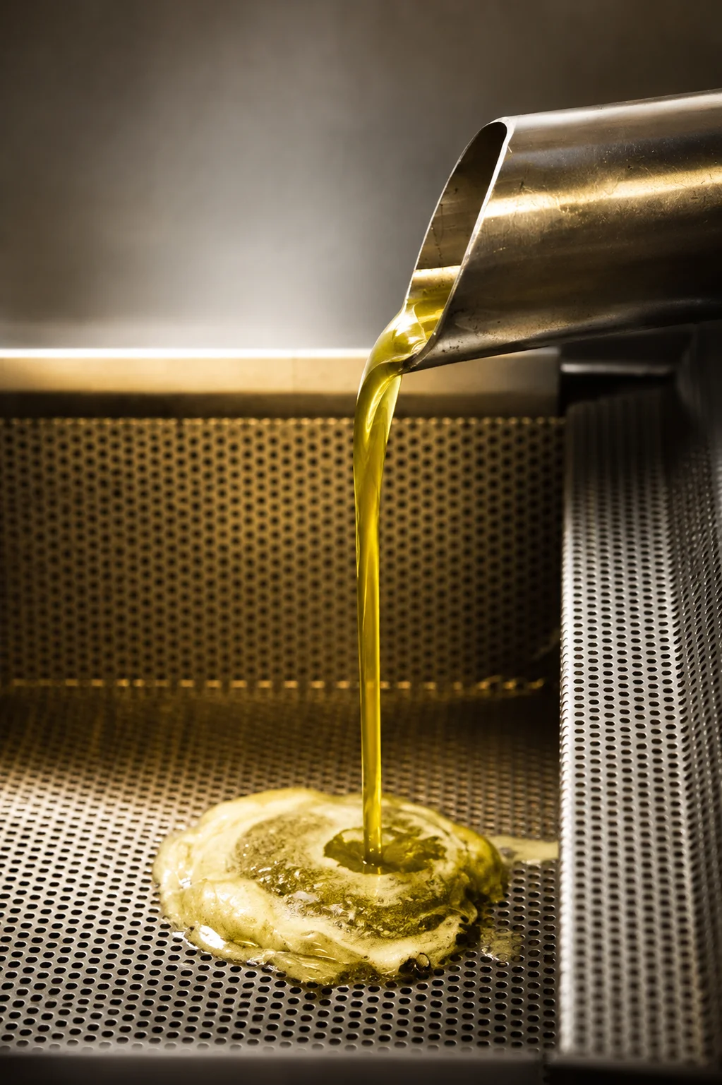 El primer aceite del día saliendo de la prensa